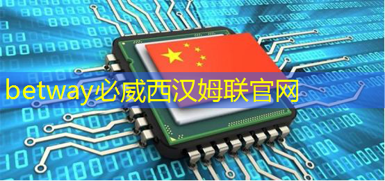 芯片类型与技术节点