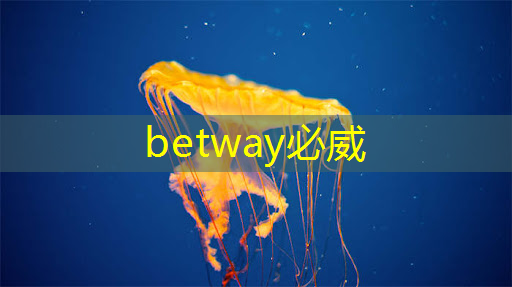 betway必威中国官方网站:智能硬件芯片行业太卷?联盛德给出了答案 betway必威中国官方网站:智能硬件芯片行业太卷?联盛德给出了答案