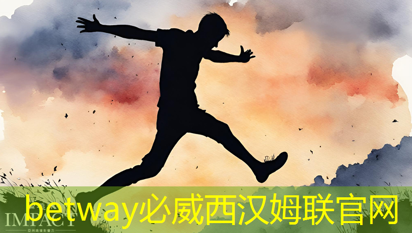 betway必威西汉姆联官网:张强:中国汽车智能芯片行业里的行动派 betway必威西汉姆联官网:张强:中国汽车智能芯片行业里的行动派