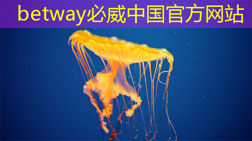 betway必威:新年芯事 | 龙芯物联网主控芯片龙芯1C102和龙芯1C103流片成功 betway必威:新年芯事 | 龙芯物联网主控芯片龙芯1C102和龙芯1C103流片成功