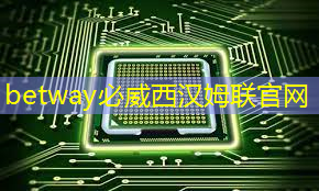 必威:Talk预告 | 壁仞智能科技高级研究员唐杉:AI芯片技术发展 必威:Talk预告 | 壁仞智能科技高级研究员唐杉:AI芯片技术发展