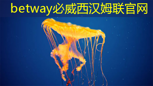 betway必威:NDA非破坏性分析:芯片制造的隐形守护者 betway必威:NDA非破坏性分析:芯片制造的隐形守护者