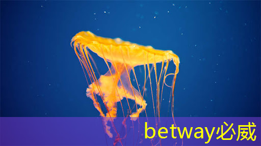 betway必威：上海市芯片制造与封装电子电镀专题研讨会在上海大学顺利召开！