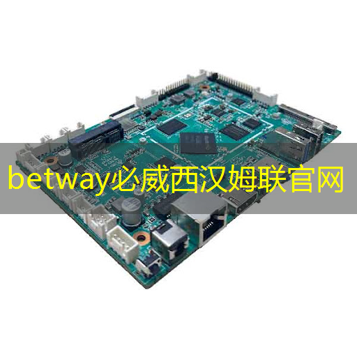 betway必威中国官方网站：速递｜前谷歌员工创立的AI芯片MatX，比英伟达提高10倍，完成超3亿美元估值A轮融资