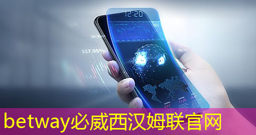 betway必威西汉姆联官网：比亚迪拟自研智能驾驶芯片，欲强补智能化｜Long China 50独家
