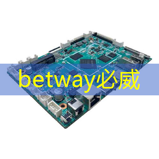 必威:张强:中国汽车智能芯片行业里的行动派 必威:张强:中国汽车智能芯片行业里的行动派