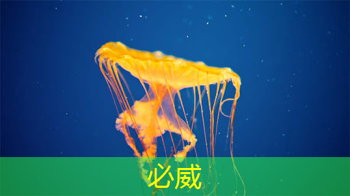 betway必威中国官方网站:清华发布《人工智能芯片技术白皮书(2018)》 betway必威中国官方网站:清华发布《人工智能芯片技术白皮书(2018)》