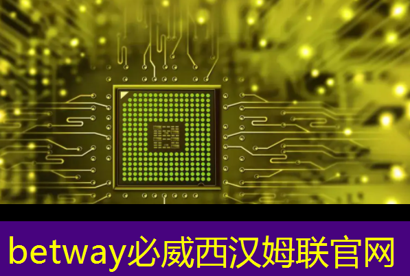 betway必威中国官方网站:一年的时间,这家上海芯片独角兽又给我们带来了什么惊喜? betway必威中国官方网站:一年的时间,这家上海芯片独角兽又给我们带来了什么惊喜?