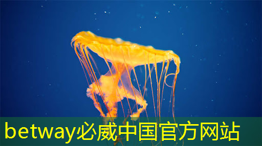 芯片行业大爆发!国产芯片的未来在哪里? 芯片行业大爆发!国产芯片的未来在哪里?