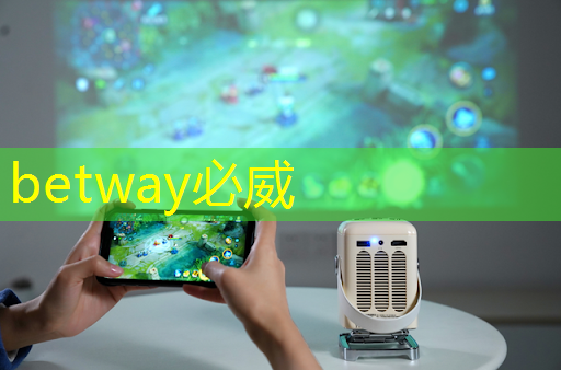 电源管理芯片:如何选择与应用 电源管理芯片:如何选择与应用