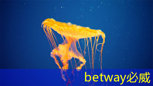 betway必威:ASIC芯片王者!垄断45%市场份额,大厂抛弃GPU,下一个常山北明? betway必威:ASIC芯片王者!垄断45%市场份额,大厂抛弃GPU,下一个常山北明?