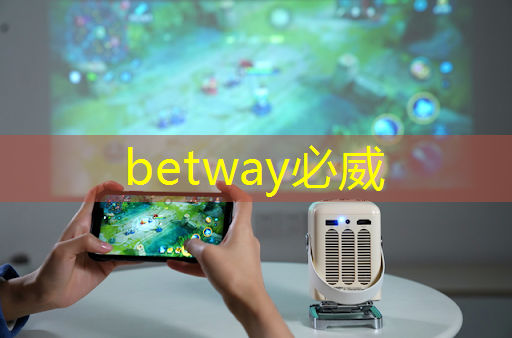betway必威：从“功能车”迈向“智能车”时代，芯片决定性能边界