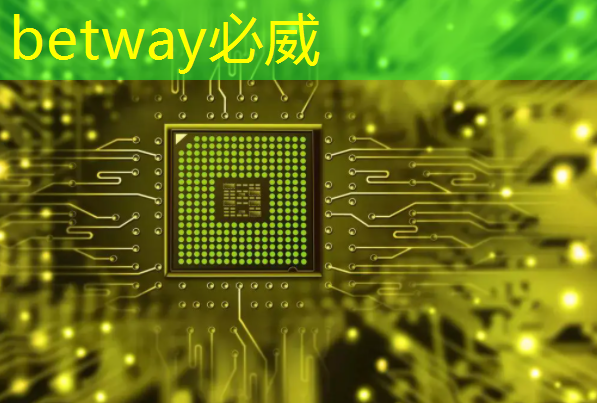 betway必威中国官方网站：WAIC2021｜使能智慧交通，黑芝麻智能核心芯片推动汽车产业“智”变升级