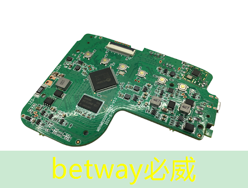 betway必威中国官方网站：单记章：车规级高性能芯片的创新，需要产业链各环节协同 ｜ 第六届金辑奖 · 中国汽车产业影响力人物