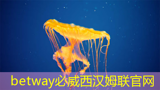 芯片检测的“无损革命”:半导体非破坏性分析 芯片检测的“无损革命”:半导体非破坏性分析