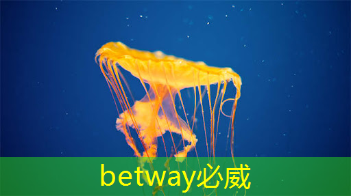 betway必威西汉姆联官网:《人工智能芯片技术白皮书(2018)》发布(附下载) betway必威西汉姆联官网:《人工智能芯片技术白皮书(2018)》发布(附下载)