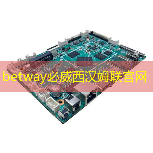 betway必威西汉姆联官网:ASIC芯片王者!垄断45%市场份额,大厂抛弃GPU,下一个常山北明? betway必威西汉姆联官网:ASIC芯片王者!垄断45%市场份额,大厂抛弃GPU,下一个常山北明?