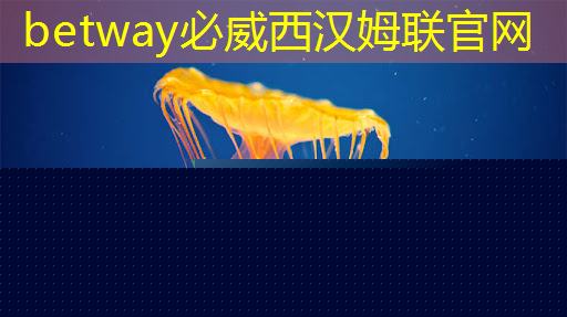 中国芯片现状 vs 未来发展趋势