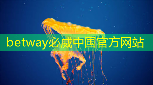 启迪企业|稻源科技发布人工智能边缘计算AI芯片 启迪企业|稻源科技发布人工智能边缘计算AI芯片