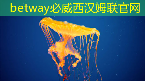 美媒:全球芯片短缺或持续到2023年 美媒:全球芯片短缺或持续到2023年