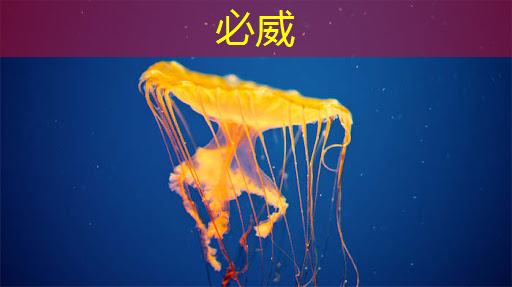 台湾芯片产业的角力,未来新战争的焦点 台湾芯片产业的角力,未来新战争的焦点
