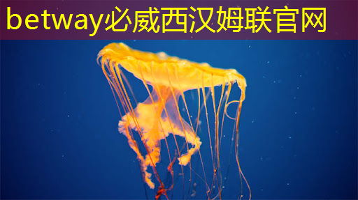 华为5G基站以及5G手机主要芯片零部件供应商! 华为5G基站以及5G手机主要芯片零部件供应商!