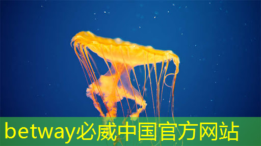 国产亿级像素成像芯片解决方案商威派视授权世强硬创代理全线产品 国产亿级像素成像芯片解决方案商威派视授权世强硬创代理全线产品