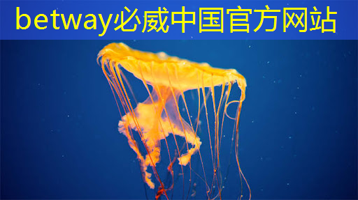 首创高中芯片教育课程 点燃学生自主创新薪火 首创高中芯片教育课程 点燃学生自主创新薪火