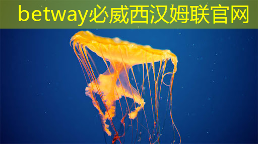 会员风采 国民技术发布单芯片安全智能门锁方案 会员风采 国民技术发布单芯片安全智能门锁方案