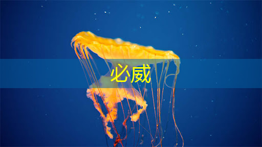 曾航:支持国产芯片,从培育生态开始 曾航:支持国产芯片,从培育生态开始