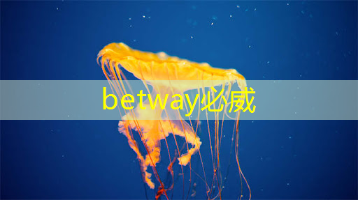 我院成功举办“光电融合:新型智能芯片与技术”学术沙龙 我院成功举办“光电融合:新型智能芯片与技术”学术沙龙