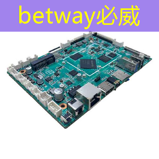 betway必威西汉姆联官网：使用不同品牌掌上游戏机芯片的游戏体验有何差异？