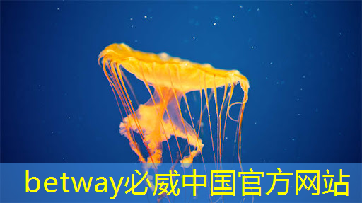 必威:WAIC2021|使能智慧交通,黑芝麻智能核心芯片推动汽车产业“智”变升级 必威:WAIC2021|使能智慧交通,黑芝麻智能核心芯片推动汽车产业“智”变升级