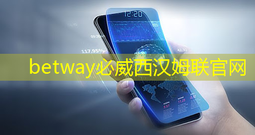 betway必威西汉姆联官网:比亚迪拟自研智能驾驶芯片,欲强补智能化|Long China 50独家 betway必威西汉姆联官网:比亚迪拟自研智能驾驶芯片,欲强补智能化|Long China 50独家