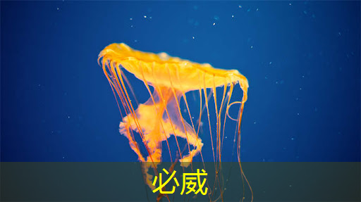 中国存储芯片王者,华为战略控股,未来超越北方华创 中国存储芯片王者,华为战略控股,未来超越北方华创