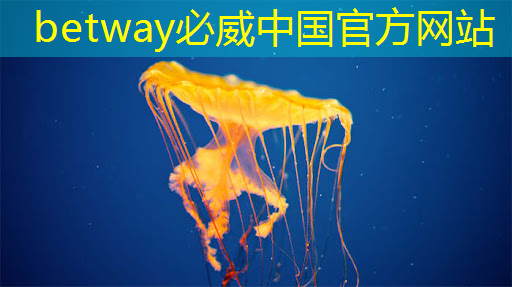 30秒!解锁汽车芯片供应链企业查询技巧 30秒!解锁汽车芯片供应链企业查询技巧