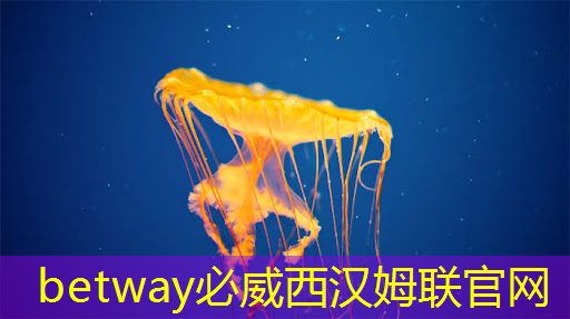 必威:基于架构创新,后摩智能点亮业内首款存算一体大算力AI芯片 必威:基于架构创新,后摩智能点亮业内首款存算一体大算力AI芯片